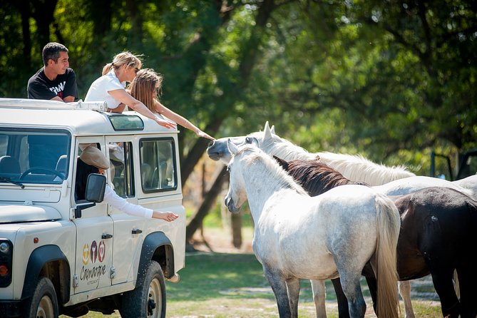 3.5 Hour Camargue 4x4 Safari From Le Grau-Du Roi - Experience and Additional Information