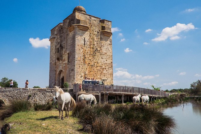3.5 Hour Camargue 4x4 Safari From Le Grau-Du Roi - Tips for a Successful Safari