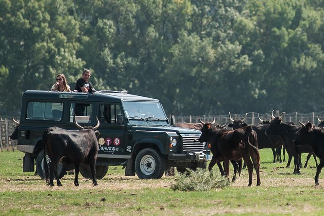 3.5 Hour Camargue 4x4 Safari From Le Grau-Du Roi - Common Questions