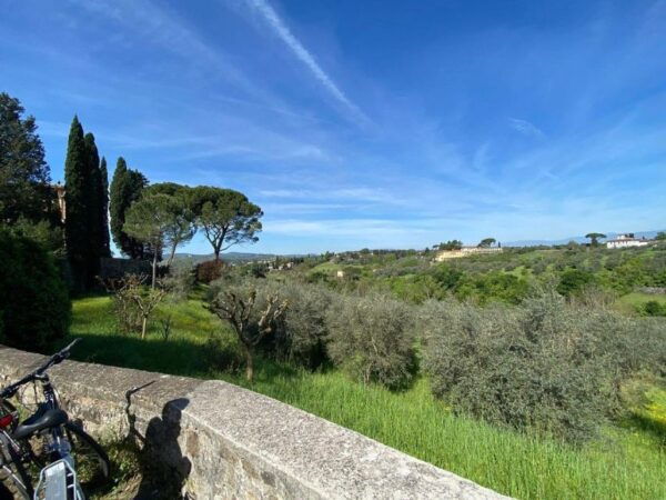 3.5 Hour E-Bike Florence & Tuscan Coutryside - The Sum Up