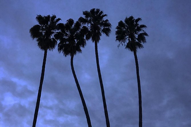 3.5 Hour Private Coastal Tour of Santa Monica, Venice Beach and Malibu - The Sum Up