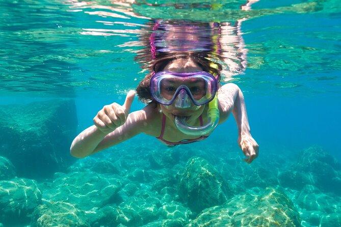 3 and a Half Hours Snorkeling and Dolphin Watching in Figarolo - What to Expect