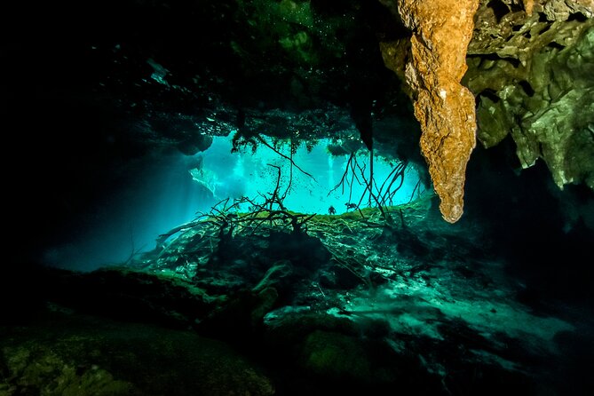 3 Cenote Dives - Casa & Dos Ojos - Common Questions