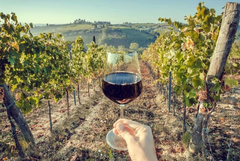 3 Chianti Wineries Private Tour from Florence or Siena - A Closer Look at the 3 Chianti Wineries Private Tour from Florence or Siena