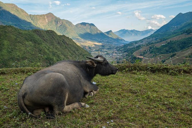 3 Day 2 Night Trek - An In-Depth Look at the Sapa Trekking Experience