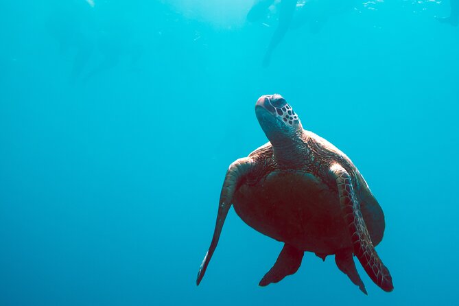 3 Day & 2 Night Whitsunday Islands Maxi Sailing Adventure on Broomstick - Pricing and Additional Information