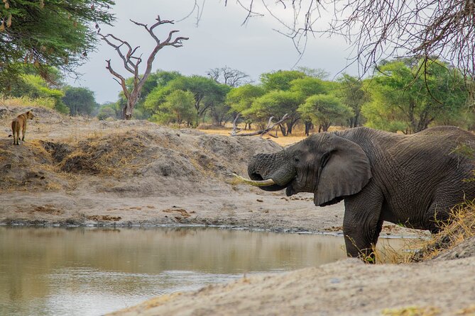 3-Day / 2 Nights Group Safari Serengeti & Ngorongoro Crater - Group Size Limit