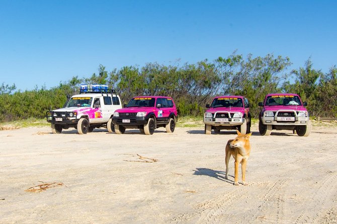 3 Day 4wd Tagalong Tour - Fraser Island - Tour Details for Fraser Island Tagalong Tour