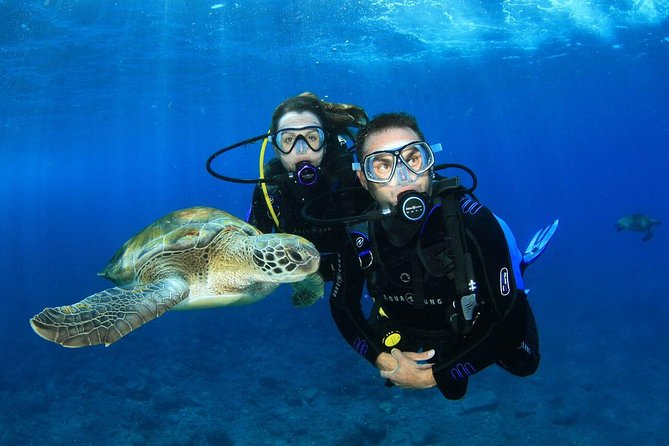 3- Day Advanced Open Water Diver Course on the Gold Coast - Course Overview