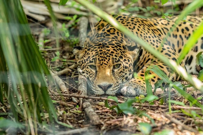 3-Day Adventure and Nature Tour in Huasteca Potosina From Ciudad Valles - Traveler Photos and Reviews