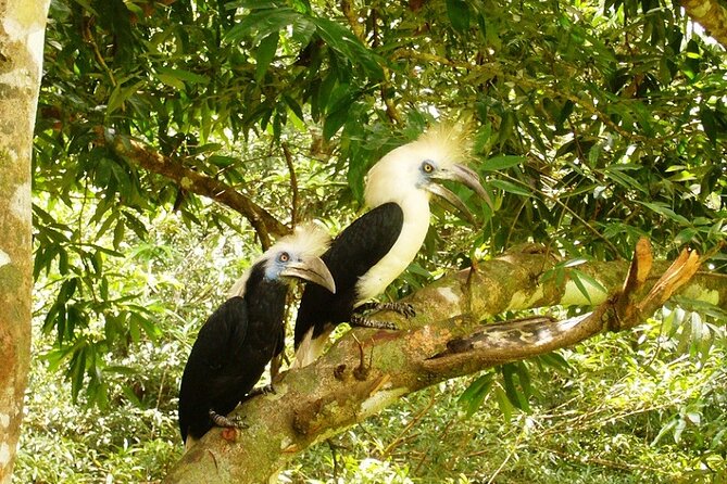 3-Day Adventure in Tabin Wildlife Reserve - Cancellation Policy and Refunds
