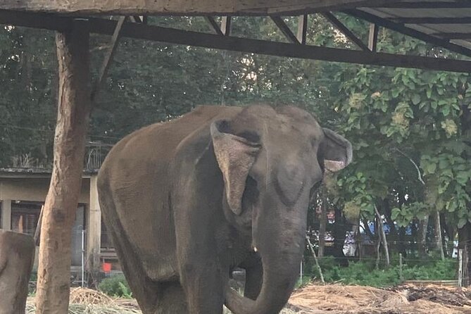 3-Day All Inclusive Chitwan Jungle Safari Tour From Kathmandu - Questions and Booking Information