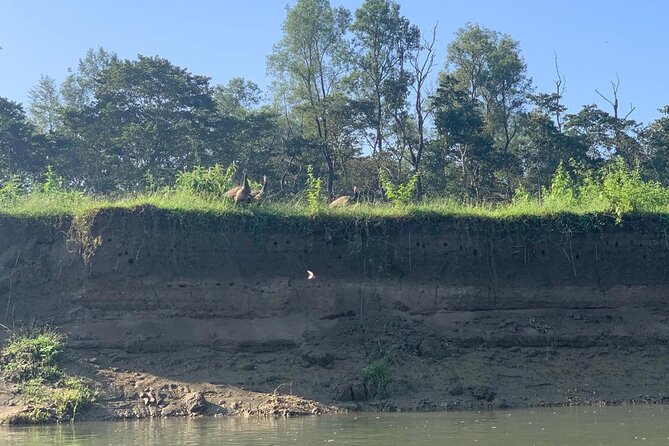 3-Day All Inclusive Chitwan Jungle Safari Tour From Kathmandu - Interacting With Local Communities