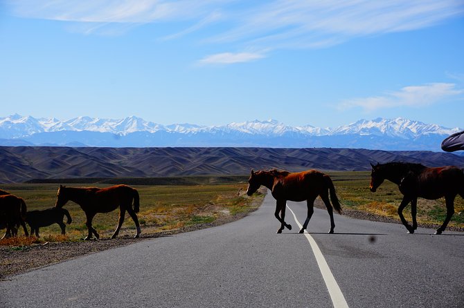 3 Day Almaty Region Altyn Emel Charyn Canyon Kolsay Lakes Express - Included Meals
