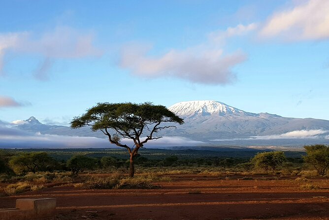 3-Day Amboseli National Park Safari Tour - Tour Overview