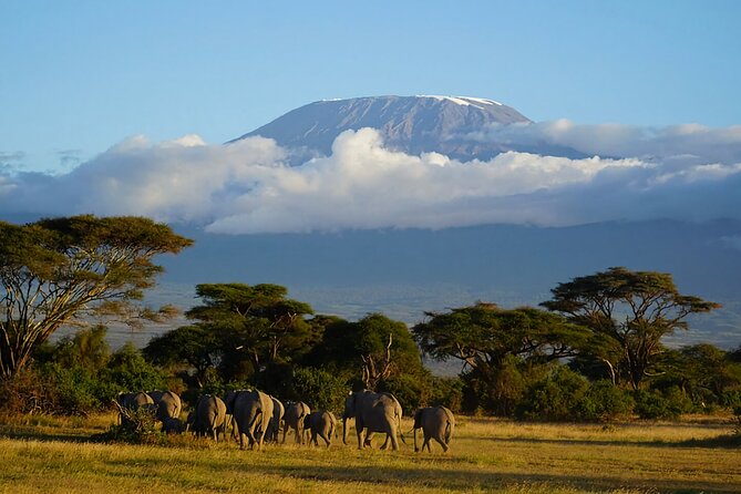 3-Day Amboseli National Park Safari Tour - Accommodation Details