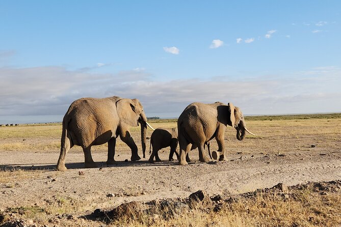 3-Day Amboseli National Park Safari Tour - Customer Reviews