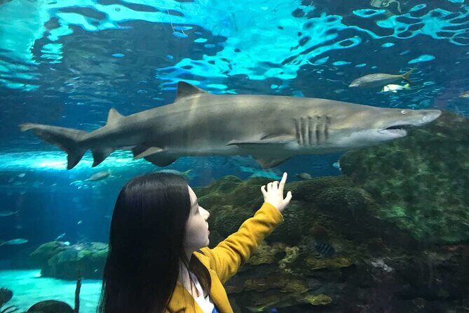 3 Day and 2 Night Tour: Toronto, 1000 Islands, and Niagara Falls - Good To Know