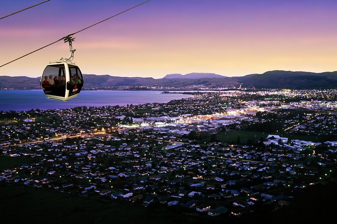 3-Day Auckland to Wellington Tour - Reviews