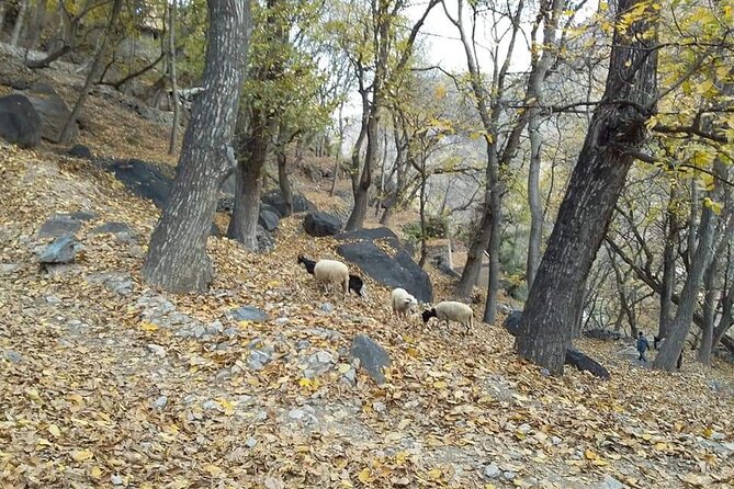 3-Day Authentic Berber Villages Tour - Additional Details