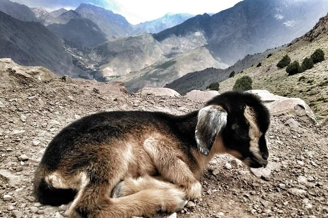 3-Day Authentic Berber Villages Tour - Booking Details