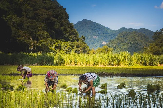 3-Day Ba Be Lake Discovery Private Tour - Transportation and Guide