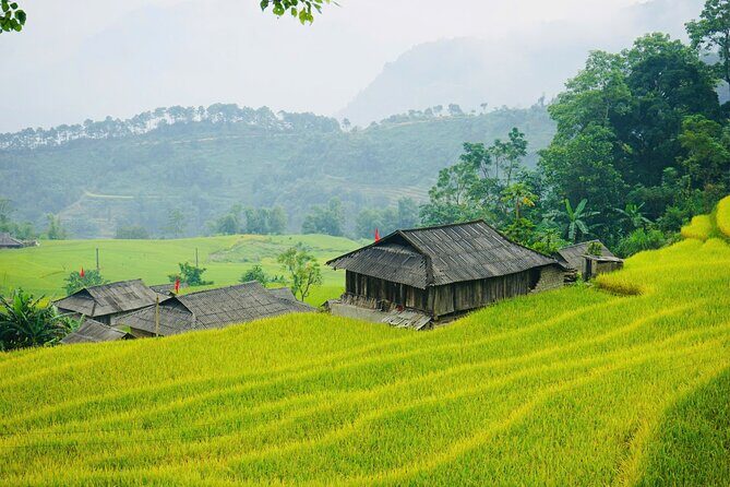 3 Day Bac Ha and Ban Phung Motorbike Tour from Sapa - An In-Depth Look at the 3-Day Itinerary