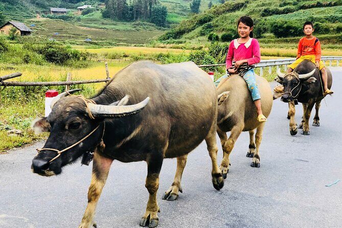3 Day Bac Ha and Ban Phung Motorbike Tour from Sapa - Good To Know