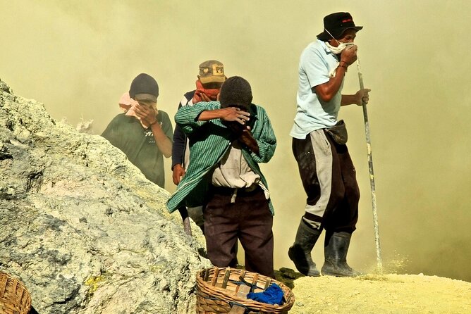 3-Day Bali North Tour With Snorkeling,Dolphin & Ijen Crater Trek - Itinerary Highlights