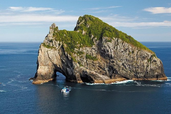 3-Day Bay of Islands Tour From Auckland - Reviews and Feedback