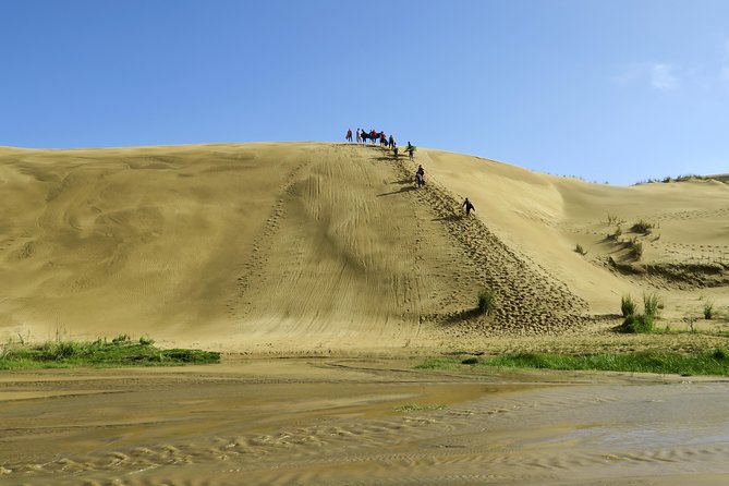 3 Day Bay of Islands Tour From Auckland Including Waitangi and Cape Reinga - Pricing and Booking Information