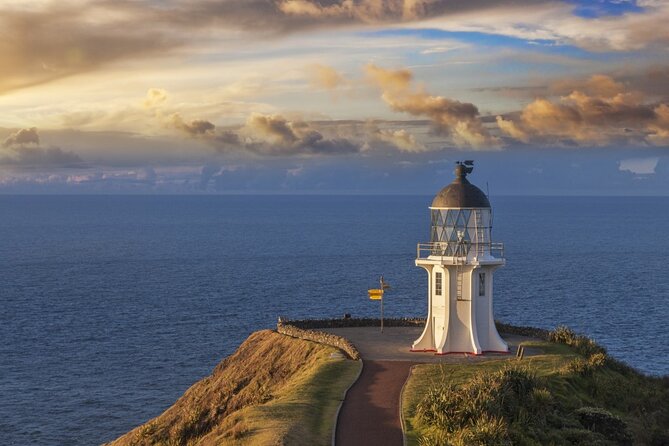 3 Day Bay of Islands Winter Tour From Auckland - The Sum Up