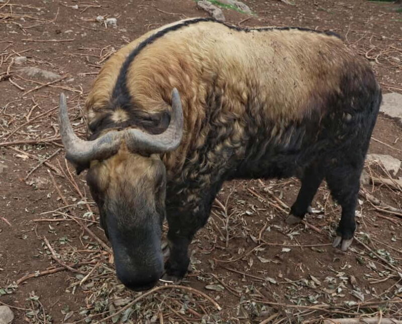 3 Day Bhutan Tour - The Experience Matters: What Travelers Say