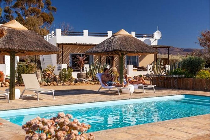 3-Day Big Five Safari Near Cape Town - Meals Included