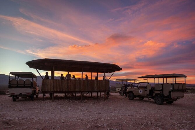 3-Day Big Five Safari Near Cape Town - Cancellation Policy