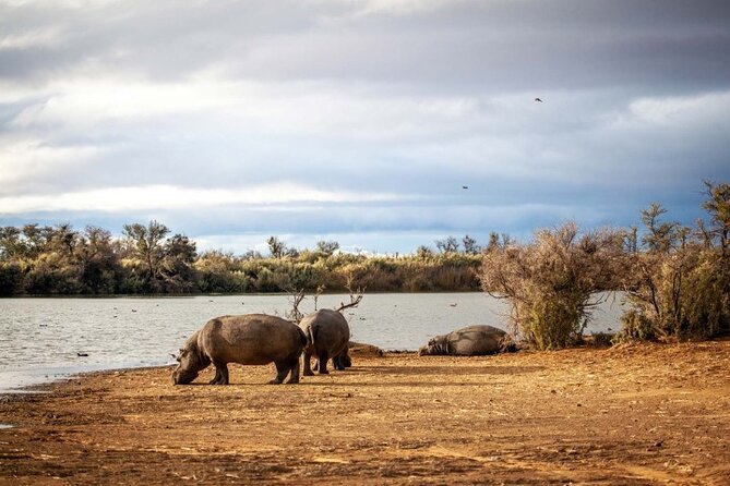 3-Day Big Five Safari Near Cape Town - Safari Experience Directions