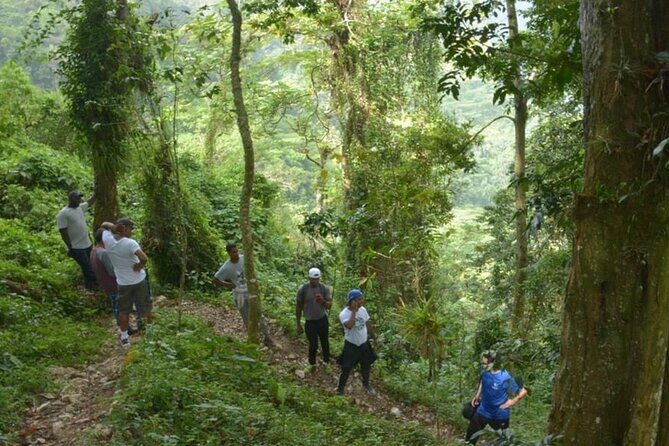 3-Day Bird Watching Tour in the Sierra de Bahoruco - FAQ