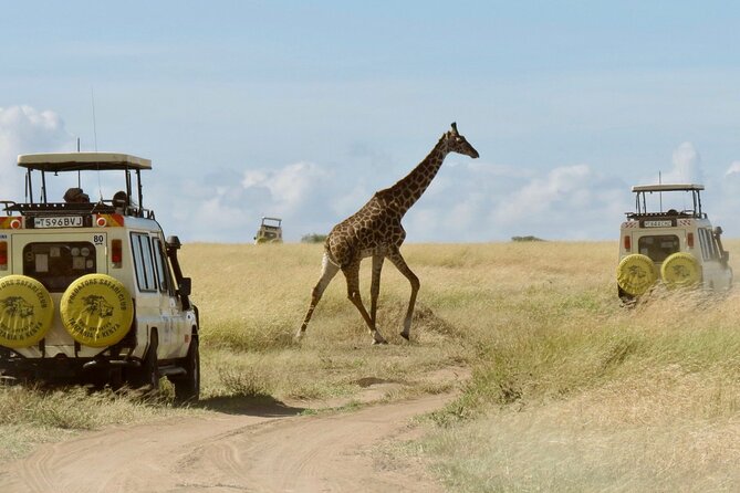 3-Day Budget Maasai Mara Joining Safari With 4x4 Landcruiser Jeep - Good To Know