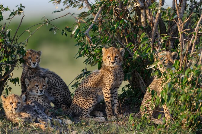 3 Day Budget Tour to Ngorongoro Crater From Arusha - Booking Information