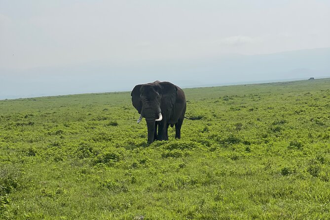 3 Day Budget Tour to Ngorongoro Crater From Arusha - Frequently Asked Questions