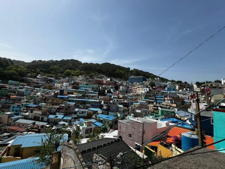 3 Day Busan Tour All Inclusive Hotel, Guide, Lunch and Coach - Key Points