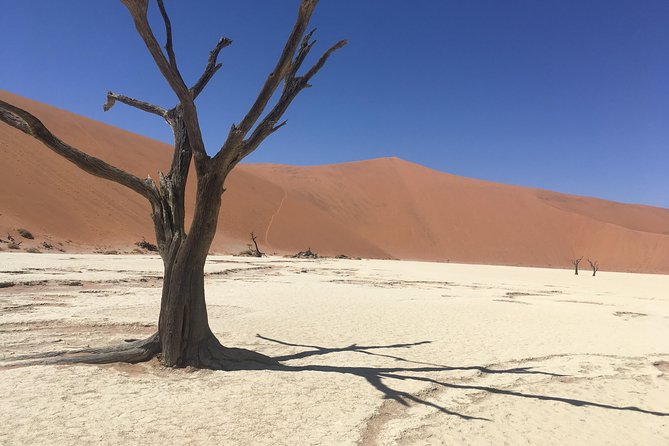 3 Day Camping Safari at Sossusvlei - Frequently Asked Questions