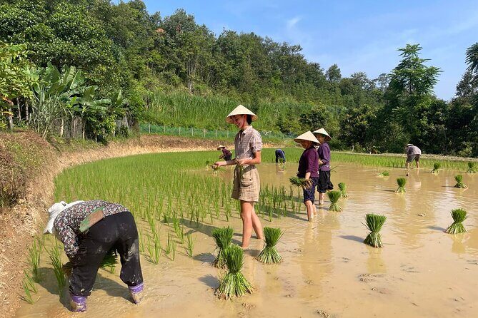 3-Day Cao Bang Loop Motorbike Adventure, Ethnic Life from Hanoi - The Natural Wonders: Ban Gioc Waterfall and Beyond