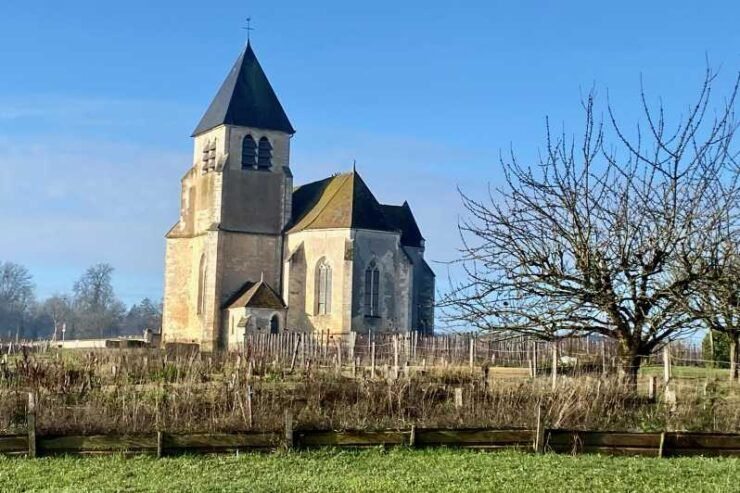 3-Day Castles, Champagne & Chablis Wine Tasting Private Tour - Day 2: Chablis Wine Tasting