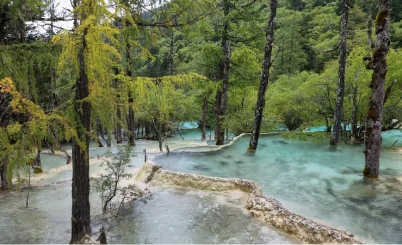 3-Day Chengdu Huanglong Jiuzhaigou Exploration Tour (High-Speed Rail Round Trip) - Group size, guiding and language