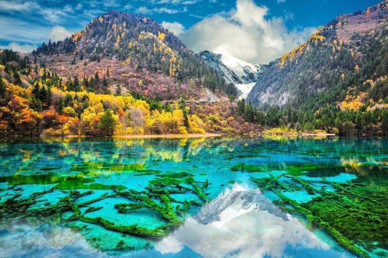 3-Day Chengdu, Jiuzhaigou & Mount Siguniang Tour - What to know before you book