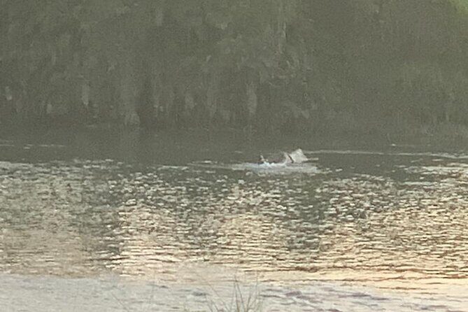 3-Day Chitwan Jungle Safari from Kathmandu  All-Inclusive Tour - The Sum Up