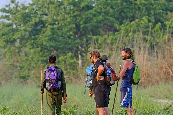 3-Day Chitwan Jungle Safari from Kathmandu  All-Inclusive Tour - A Detailed Look at the 3-Day Chitwan Jungle Safari