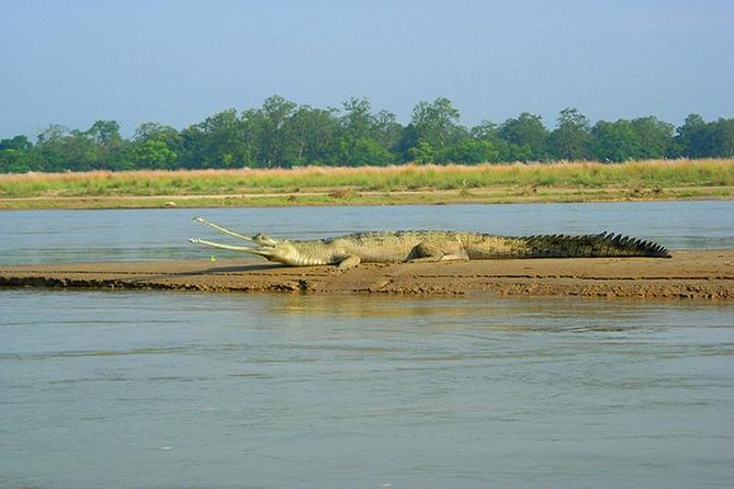 3-Day Chitwan Jungle Safari Tour From Kathmandu - Pricing and Guarantee