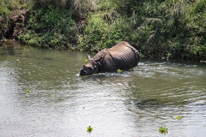 3-Day Chitwan Jungle Safari Tour From Kathmandu - Overview